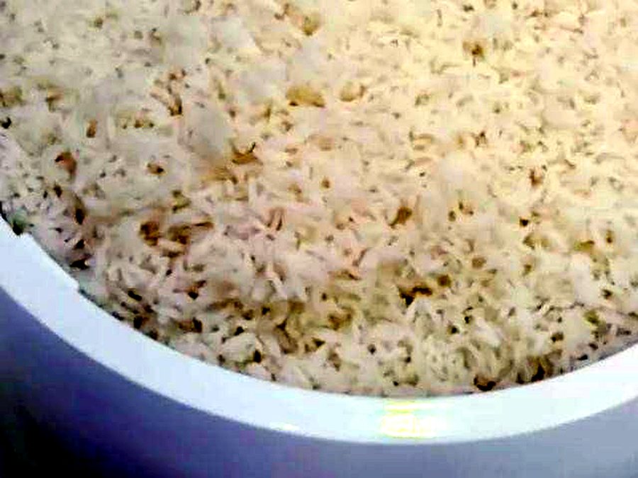 Plain Rice (1 bowl)